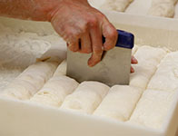 パン制作の工程5